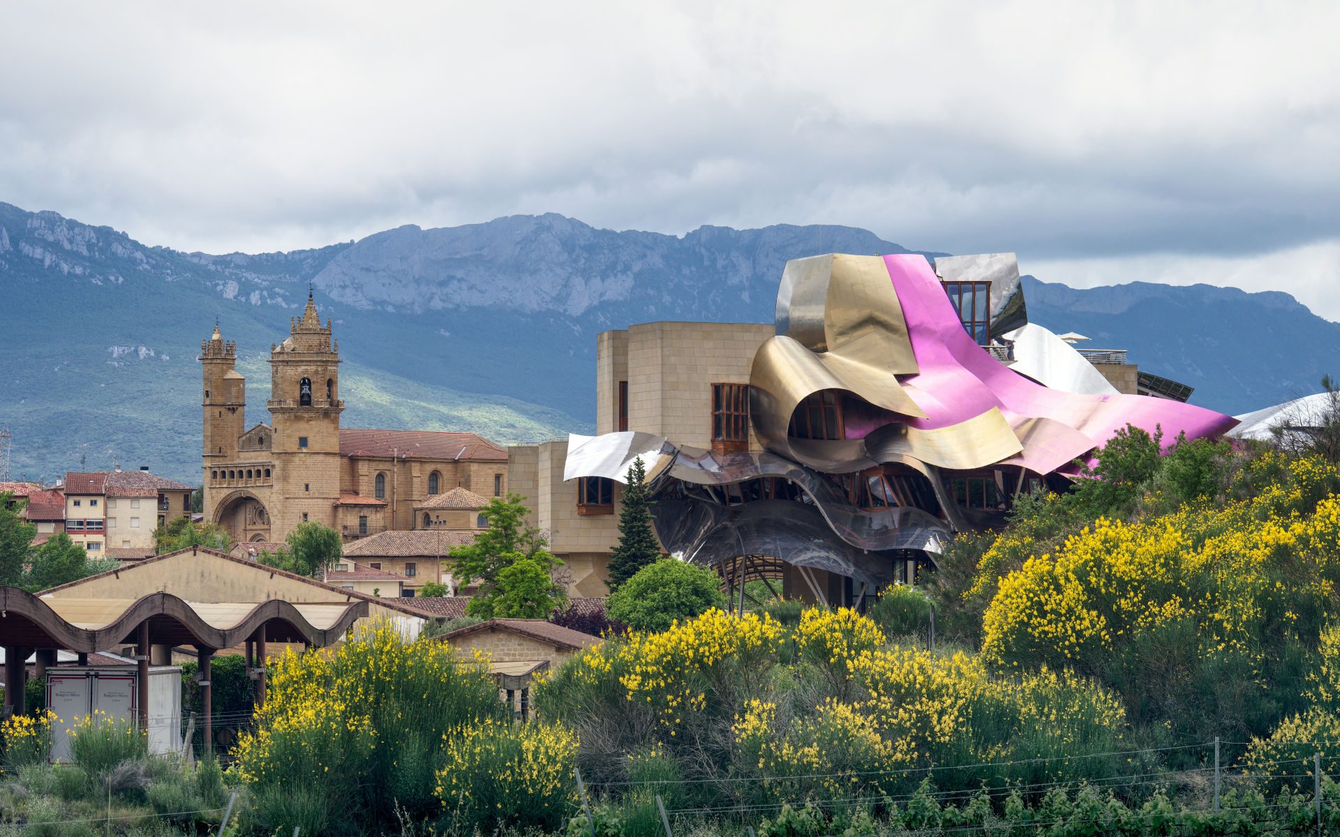 Special Visit Spain Gourmet & Wine