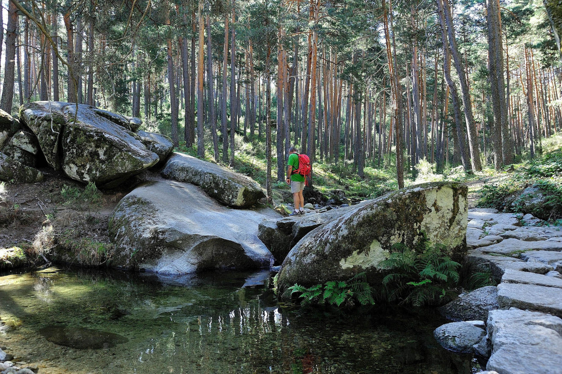 Special Visit Spain Madrid & Surrounding